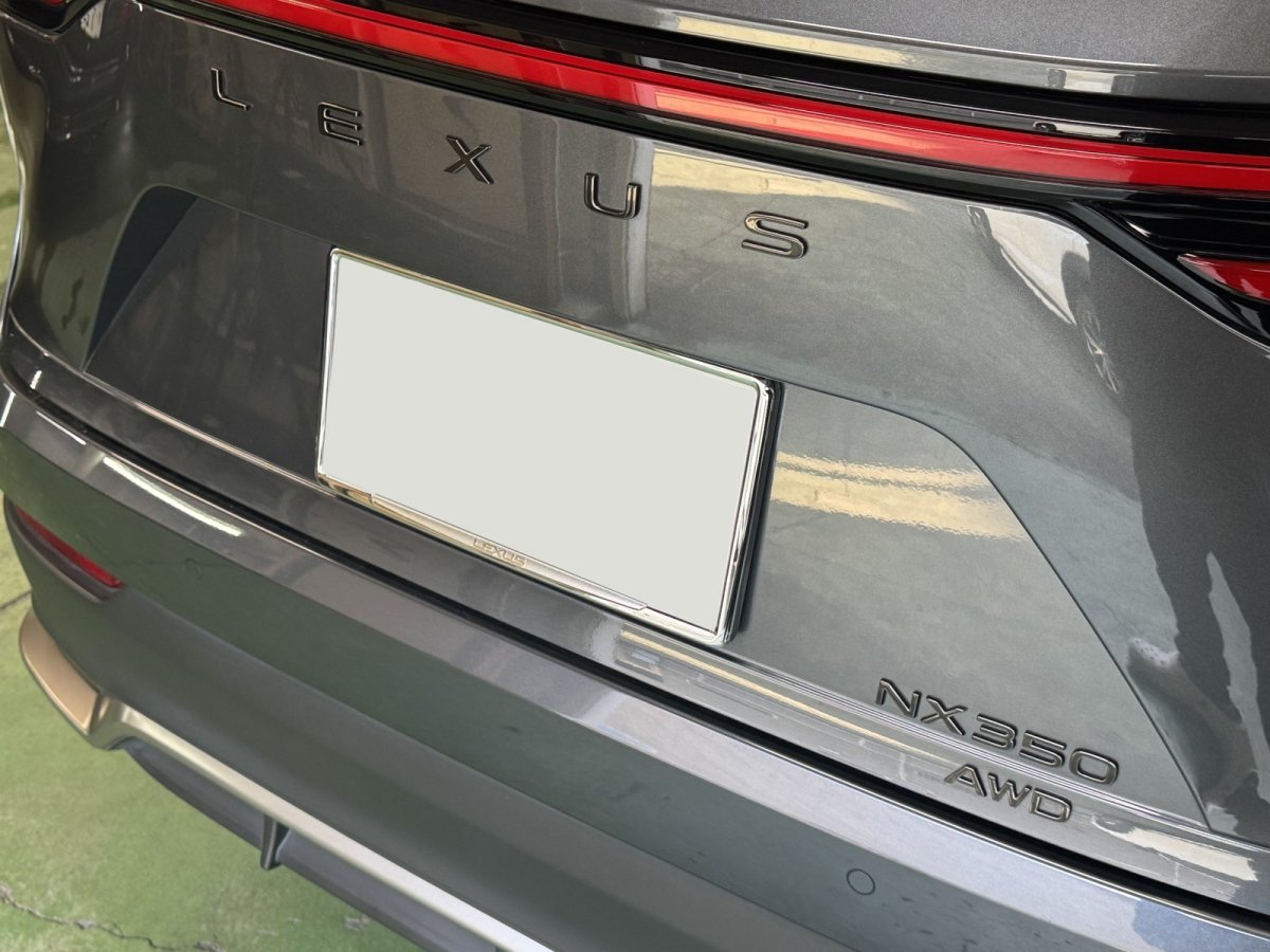 画像15: NX用ブラックエンブレムII (15)