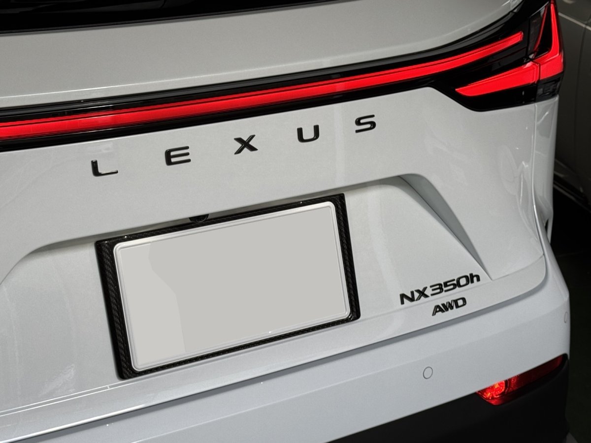 画像2: NX用 ドライカーボン リヤナンバーフレーム (2)