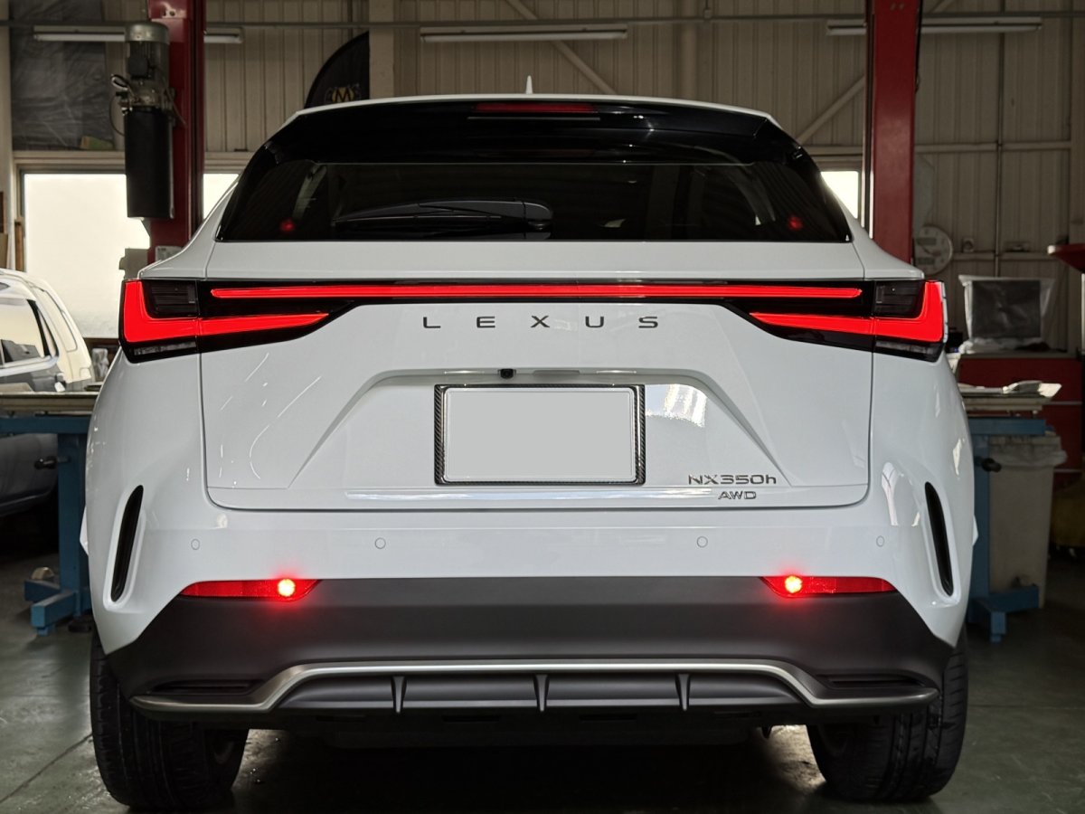 画像3: NX用 ドライカーボン リヤナンバーフレーム (3)