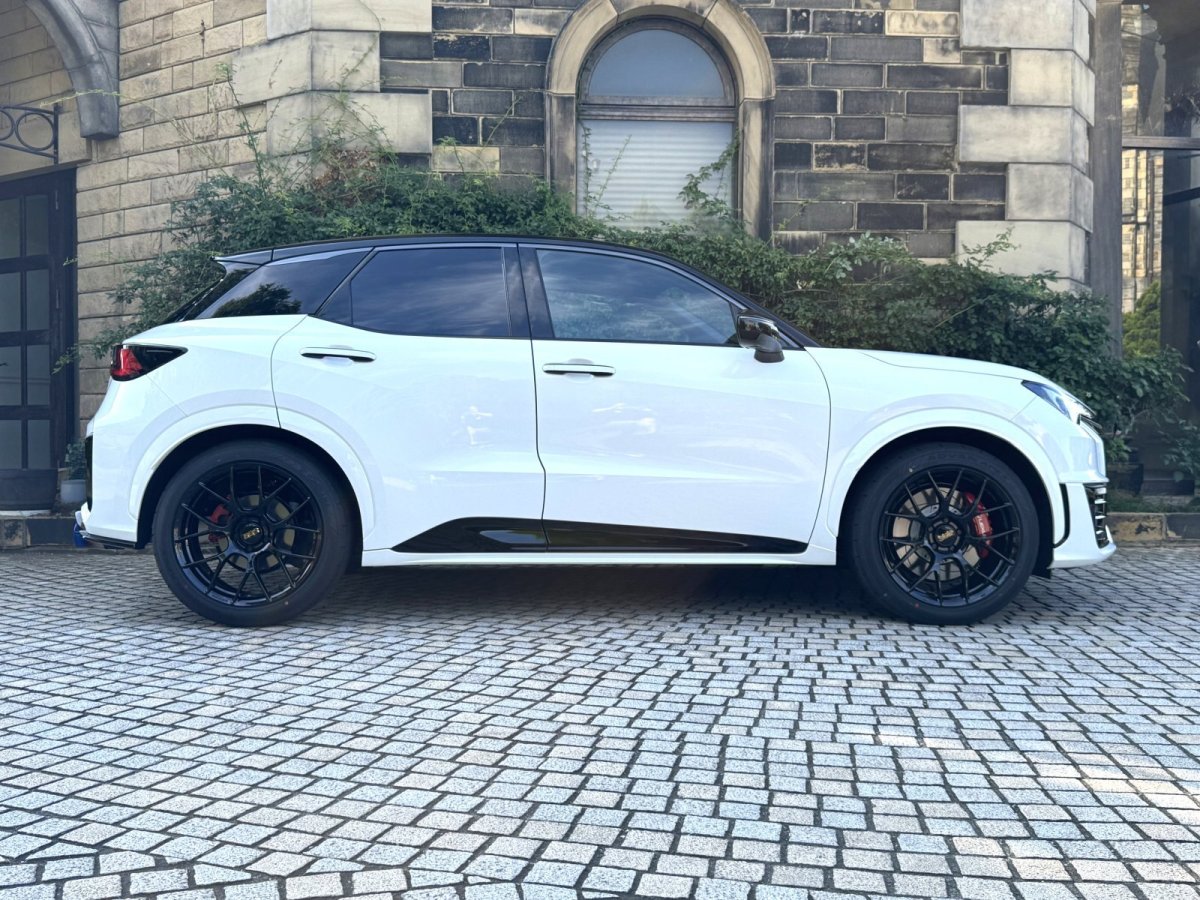 画像6: BBS RE-V7 19インチ ４本セット LEMS デモカー装着 (6)