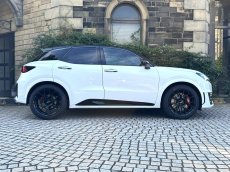 画像6: BBS RE-V7 19インチ ４本セット(チューナーサイズ）LEMS デモカー装着 (6)