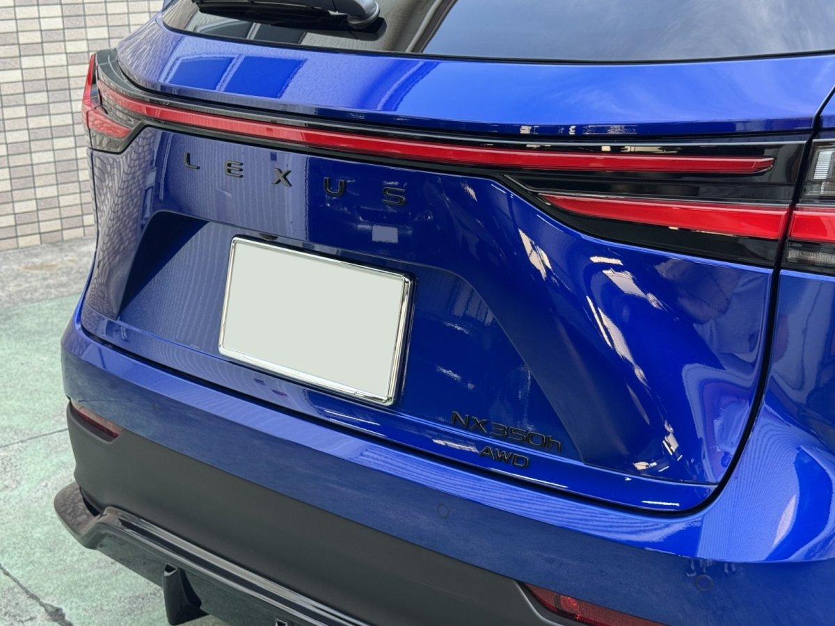 画像20: NX用ブラックエンブレムII (20)