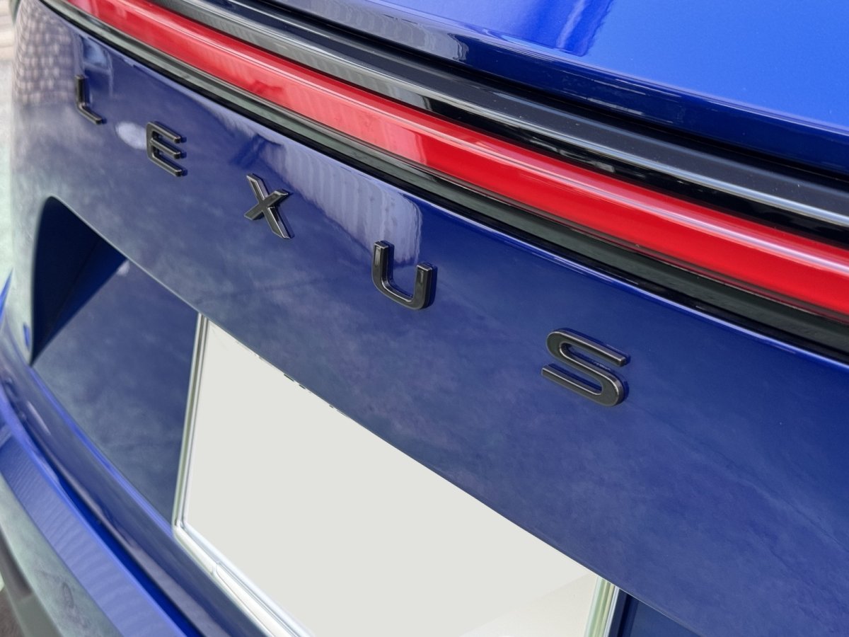 画像18: NX用ブラックエンブレムII (18)