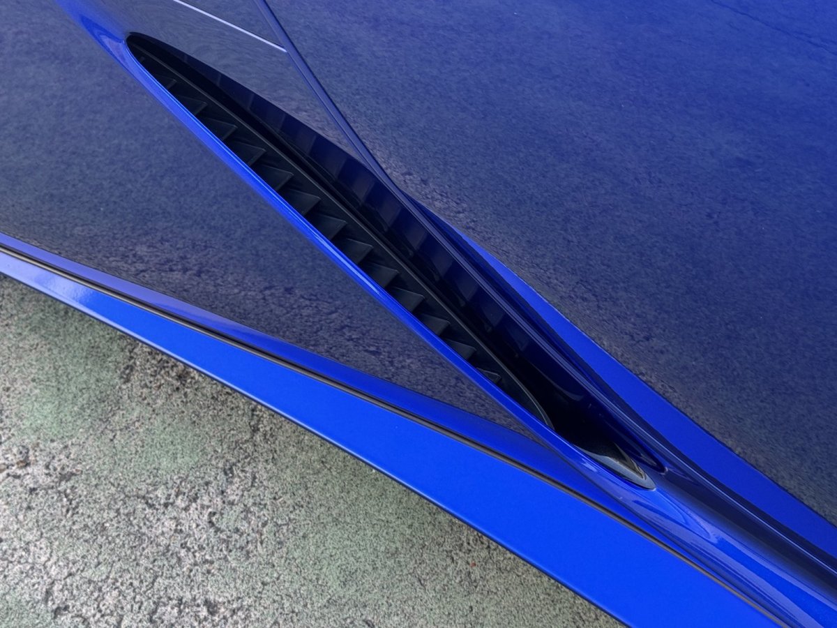 画像6: LC500フロントグリル＋ランプガーニッシュセット ＆ ロッカーパネルモールディング( ブラック塗装)【店舗専用メニュ】 (6)